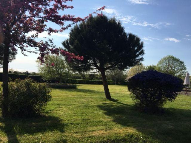 Le Clos Saint Jean Dragey Kültér fotó